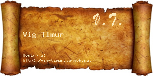 Vig Timur névjegykártya